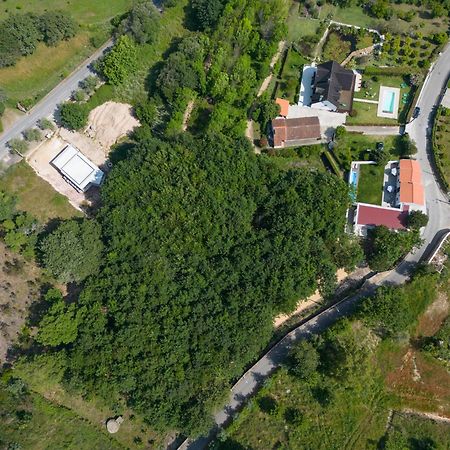 Casa Do Carvalhal - Quinta Do Soldado Villa Alquerubim Dış mekan fotoğraf