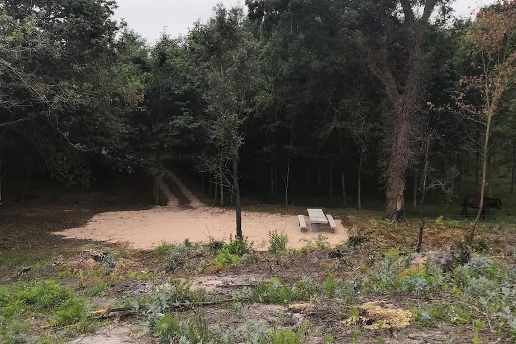 Casa Do Carvalhal - Quinta Do Soldado Villa Alquerubim Dış mekan fotoğraf