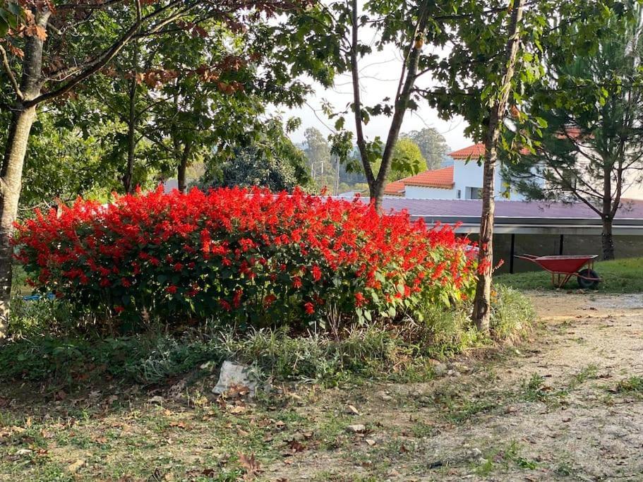 Casa Do Carvalhal - Quinta Do Soldado Villa Alquerubim Dış mekan fotoğraf
