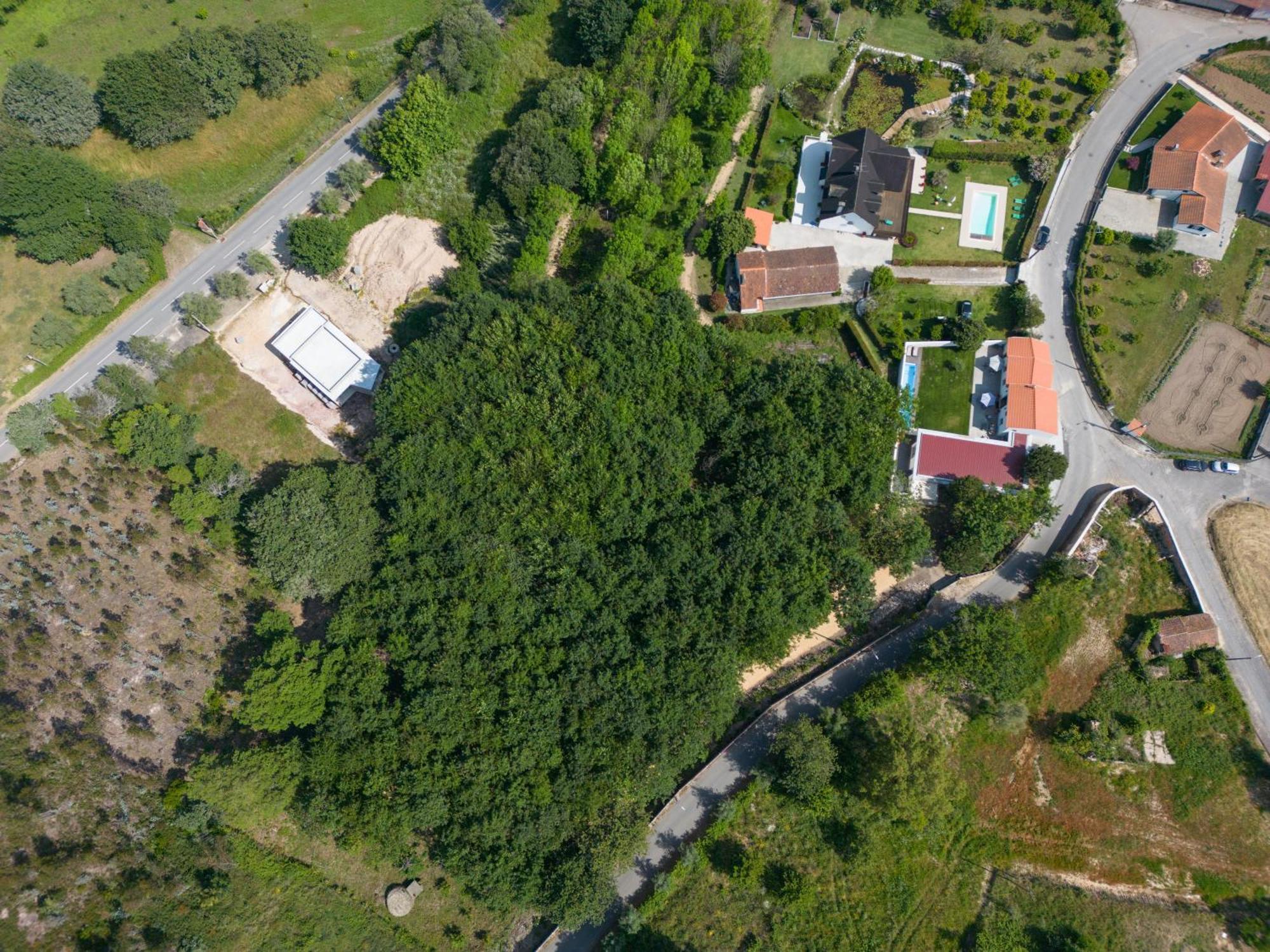Casa Do Carvalhal - Quinta Do Soldado Villa Alquerubim Dış mekan fotoğraf